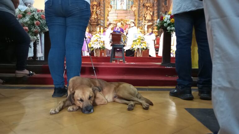 El padre Velasco siempre demostró amor a los más desprotegidos, entre ellos incluyen los animales, que sintieron su partida.