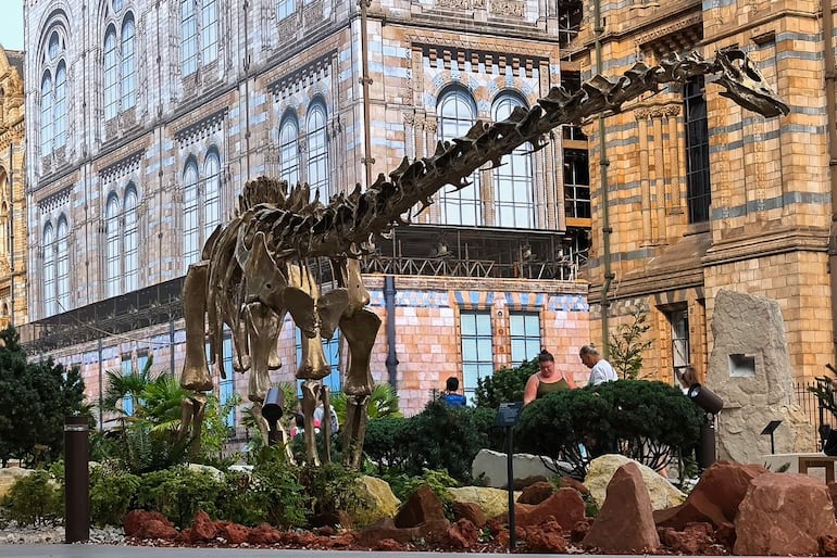 El Museo de Historia Natural de Londres ha transformado la entrada de sus visitantes en un paseo didáctico que cuenta los 2.700 millones de años del planeta, desde los remotos orígenes de nuestro mundo hasta la actualidad, con especial mención a los dinosaurios.