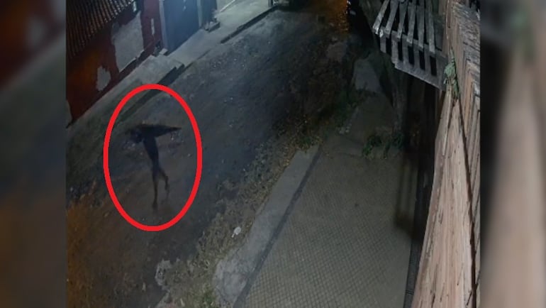 Captura de video de circuito cerrado donde se ve a un hombre robando la puerta de un vecino del barrio Santa Librada.