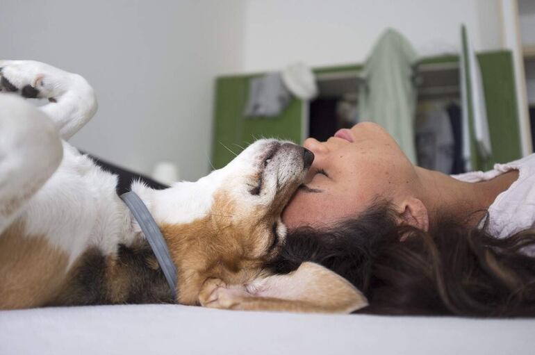 Las mascotas fortalecen los valores afectivos, despiertan sentimientos y emociones como la empatía, el amor y la ternura.