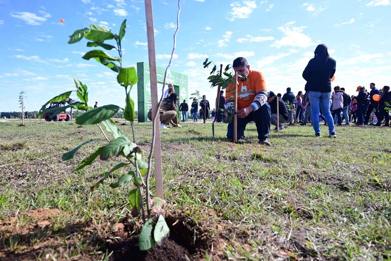 El Plantatón 2023 tuvo una importante convocatoria de voluntarios a lo largo de la mañana de este sábado en la Costanera Norte.