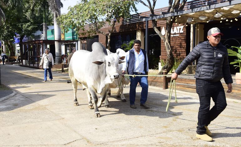 La Asociación Rural del Paraguay pretende darle rentabilidad al predio de la Expo durante todo el año.