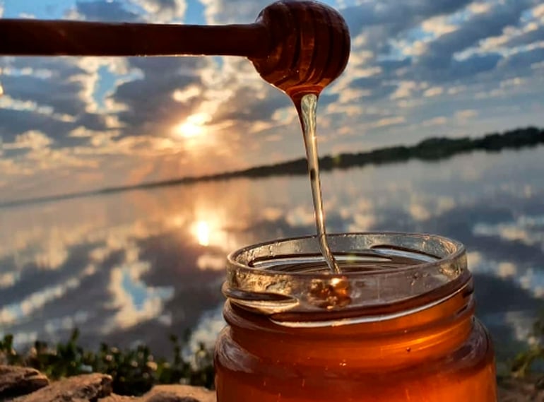 Miel de abeja elaborada en la zona del pantanal paraguayo