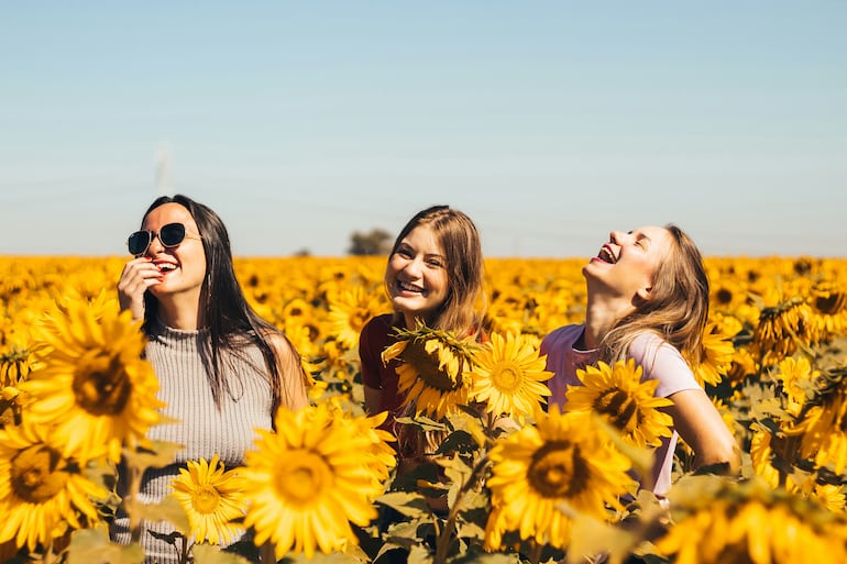 Jóvenes sonrientes, entre girasoles.