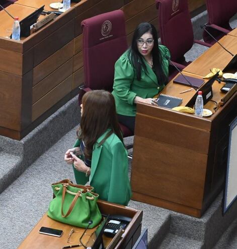 Celeste Amarilla y Yamy Nal en la sesión del Senado.