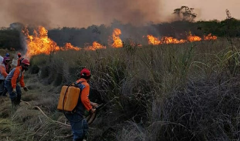 Incendios devastadores en varias zonas