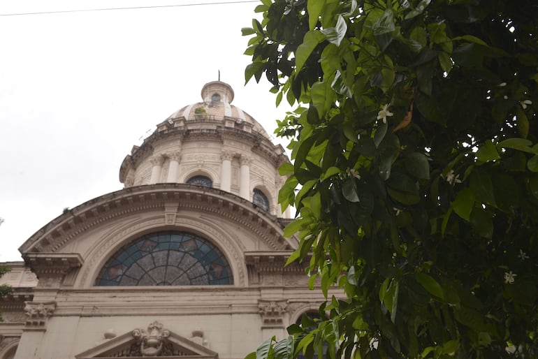 El azahar florece en las inmediaciones del Oratorio de la Virgen de la Asunción y Panteón Nacional de los Héroes.