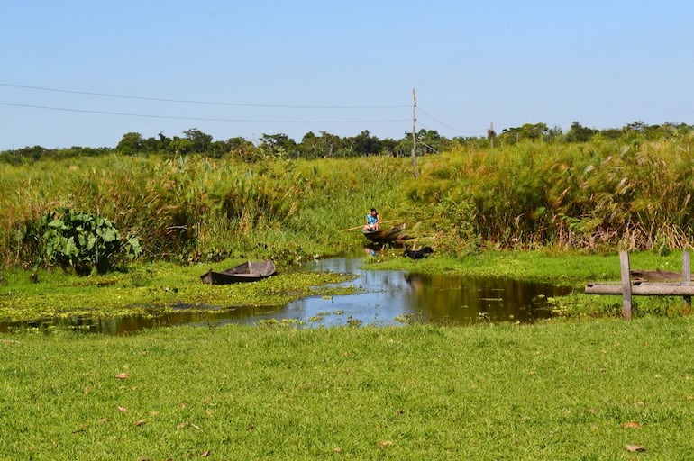 Mocito Isla, un viaje lleno de aventuras y emoción hasta el pantanal del lago Ypoá.