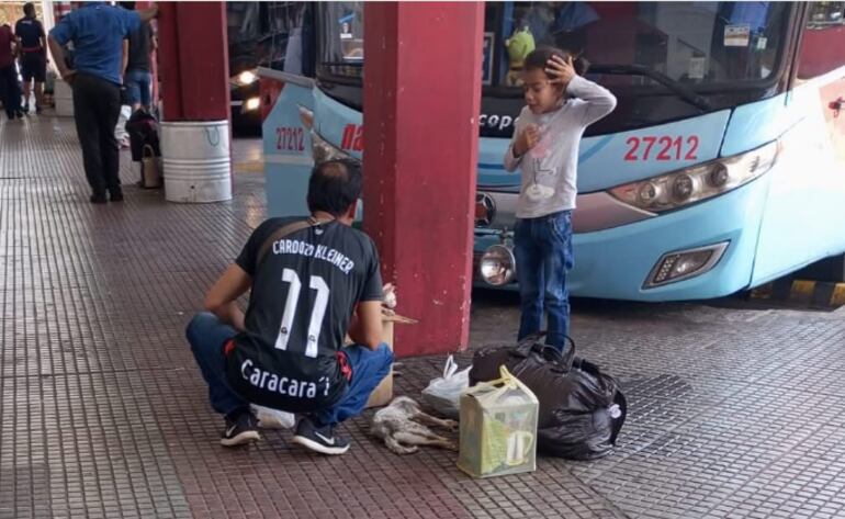 Maltrato animal: un gato muere en el baulero de un bus de larga distancia.