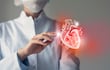 El trasplante de corazón es una cirugía crucial y compleja que ofrece una oportunidad de vida nueva a aquellos con enfermedades cardíacas terminales.