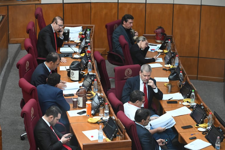 El proyecto de ley de PGN 2025 aprobado por la Cámara de Senadores es el que será promulgado por el Poder Ejecutivo.