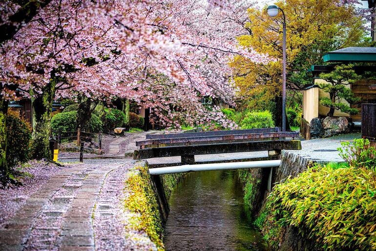 Caminito del Filósofo, Kyoto, Japón.