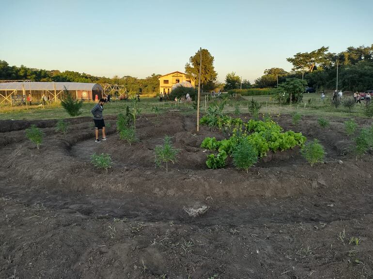 Una de las plantaciones que se exponen en la Granja Madre. (archivo).