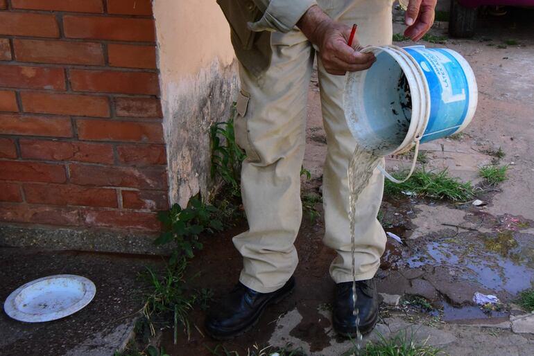 Salud Pública insta a reforzar las medidas de protección contra el dengue, principalmente tras cada lluvia. 