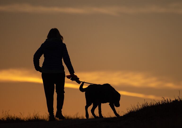 Un estudio llegó a la conclusión de que no siempre el acompañamiento de mascotas significa menos estrés para personas psicológicamente vulnerables.