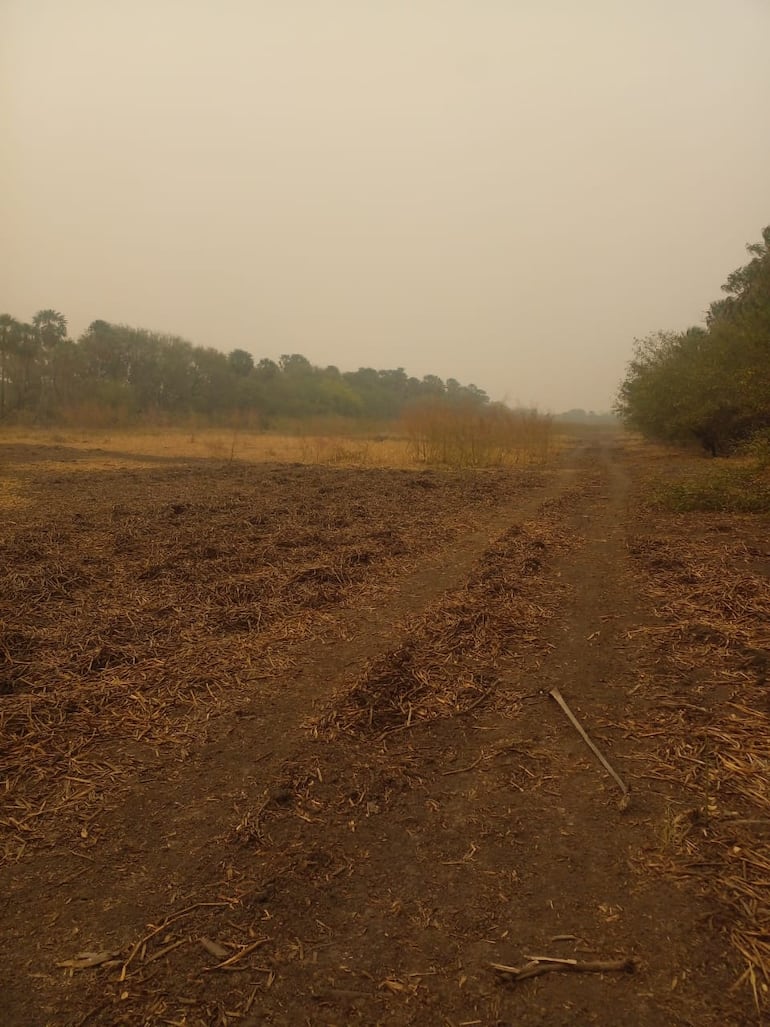 Así de seco se encuentra el cauce por donde antes circulaba el agua, actualmente se puede transitar por el lugar, esto debido a la construcción del dique.