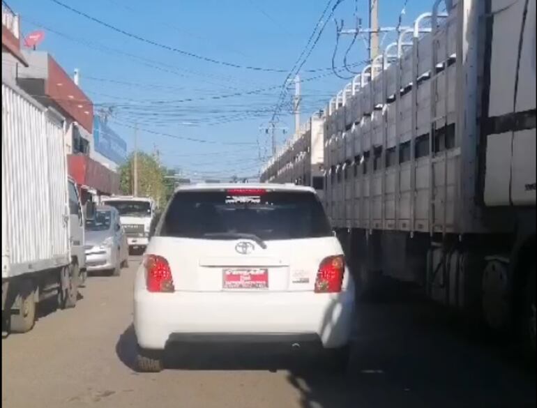 Vehículo trata de circular con normalidad ante la dificultad que genera un camión que transporta ganado en la calle Lombardo. (gentileza).