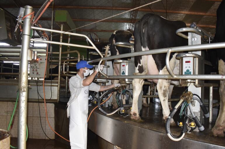 La diversificación de la leche permitió que los organismos de más personas puedan acceder a los beneficios de su consumo.