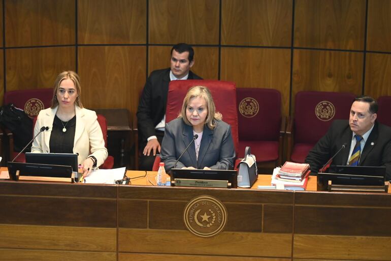 Lilian Samaniego, presidiendo la Comisión de Asuntos Constitucionales.