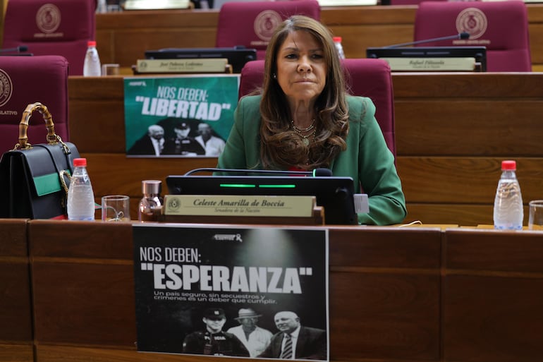 La senadora Celeste Amarilla (PLRA), al igual que otros senadores de la Bancada "A" del PLRA colocaron afiches en sus curules con mensajes exigiendo justicia, esperanza, libertad y seguridad.