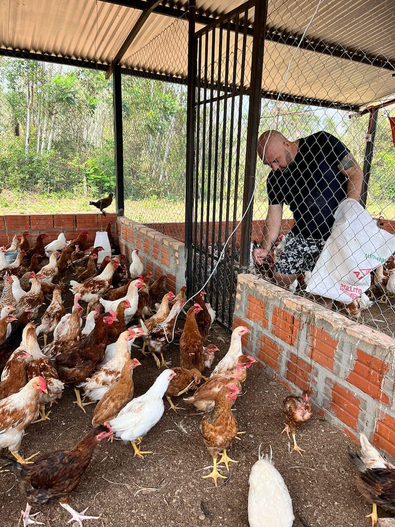 Imagen compartida en redes por el legislador cartista alimentando a sus gallinas.