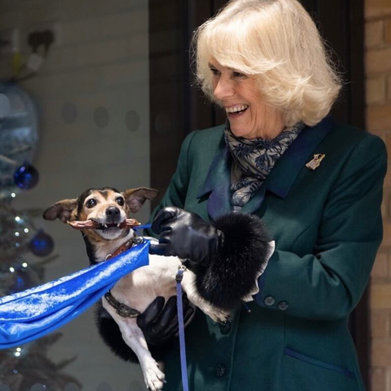 La reina Camila jugando con su perrita Beth. Hoy, la soberana inglesa está triste por la partida de su compañerita peluda.