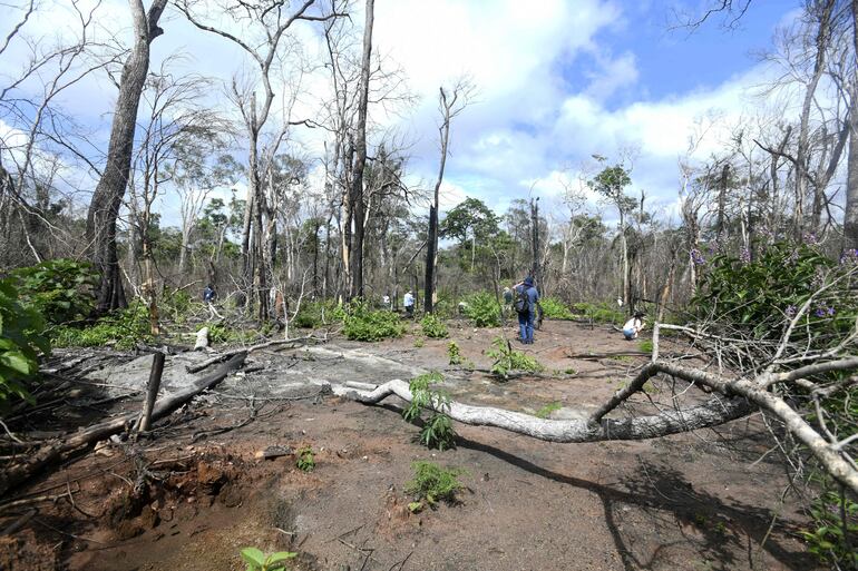 Personas inspeccionan un bosque quemado tras un incendio forestal en Santa Ana de Velasco, en el departamento de Santa Cruz, en la región de la Chiquitanía, Bolivia.