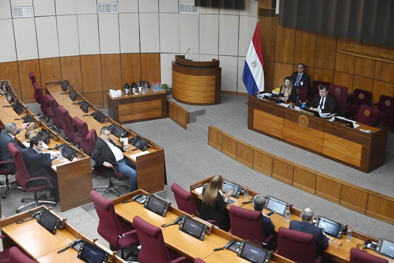 La Comisión "garrote" reunida en la sala de sesiones del Senado.