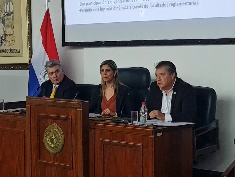 De izquierda a derecha: El defensor del Pueblo, Rafael Ávila, la presidenta de la Comisión de Derechos Humanos, diputada Roya Torres y el diputado Carlos Marías López.