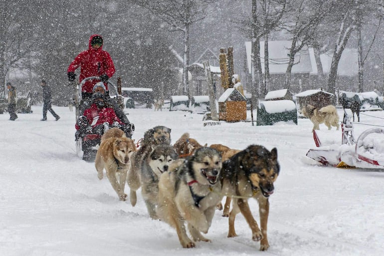 Paseo en trineo tirados por perros, en Ushuaia, Tierra del Fuego.