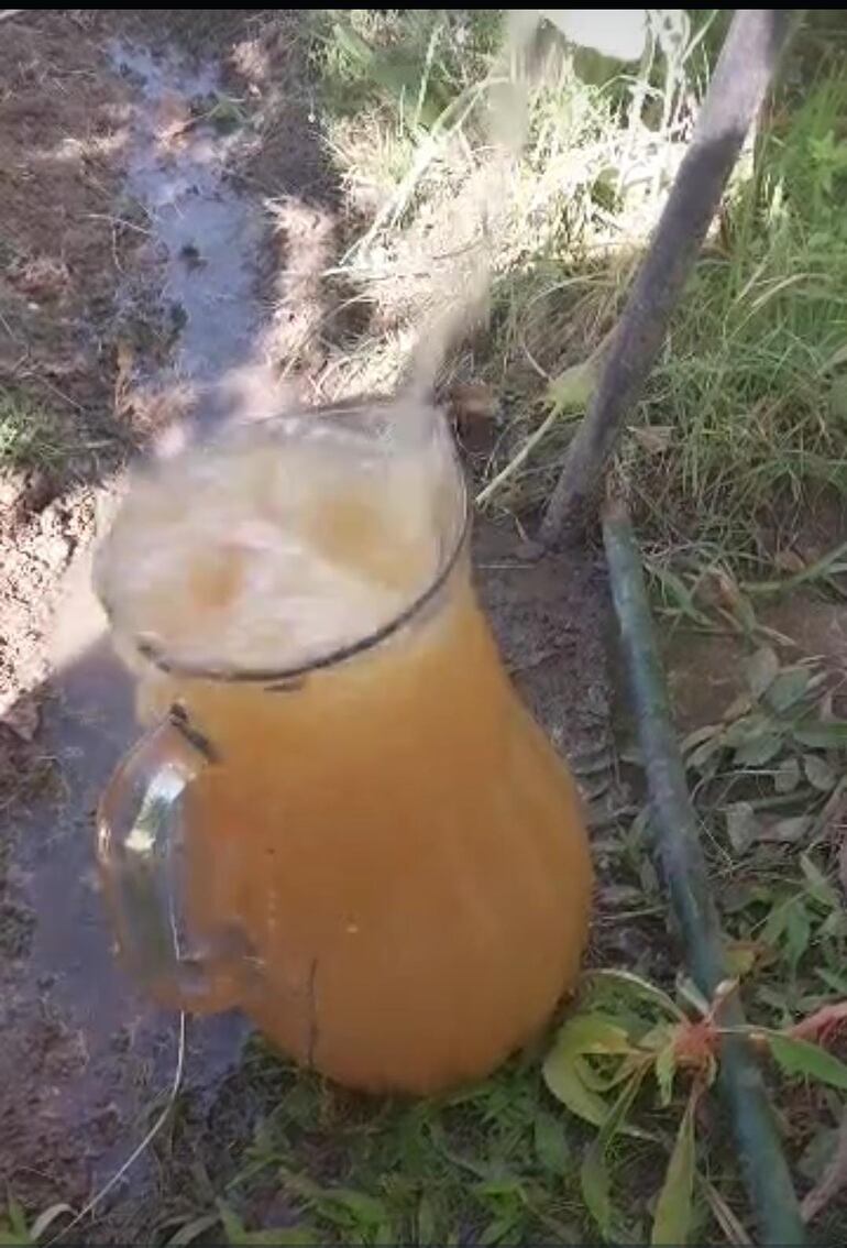 Esta es la calidad del agua que sale de la canilla y que supuestamente es para el consumo denucnian los vecinos.