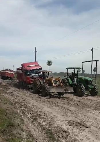 Un camión que transportaba ganado quedó atascado en el camino trayecto a Ciervo Blanco.