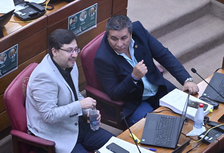 Los senadores del PLRA, Lucas Aquino (der.) y Blas Lanzoni.