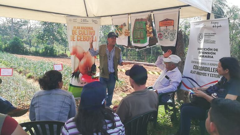 Arroyos y Esteros: buscan potenciar la producción agroecológica de cebolla.