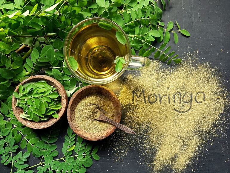 Moringa en distintas presentaciones.