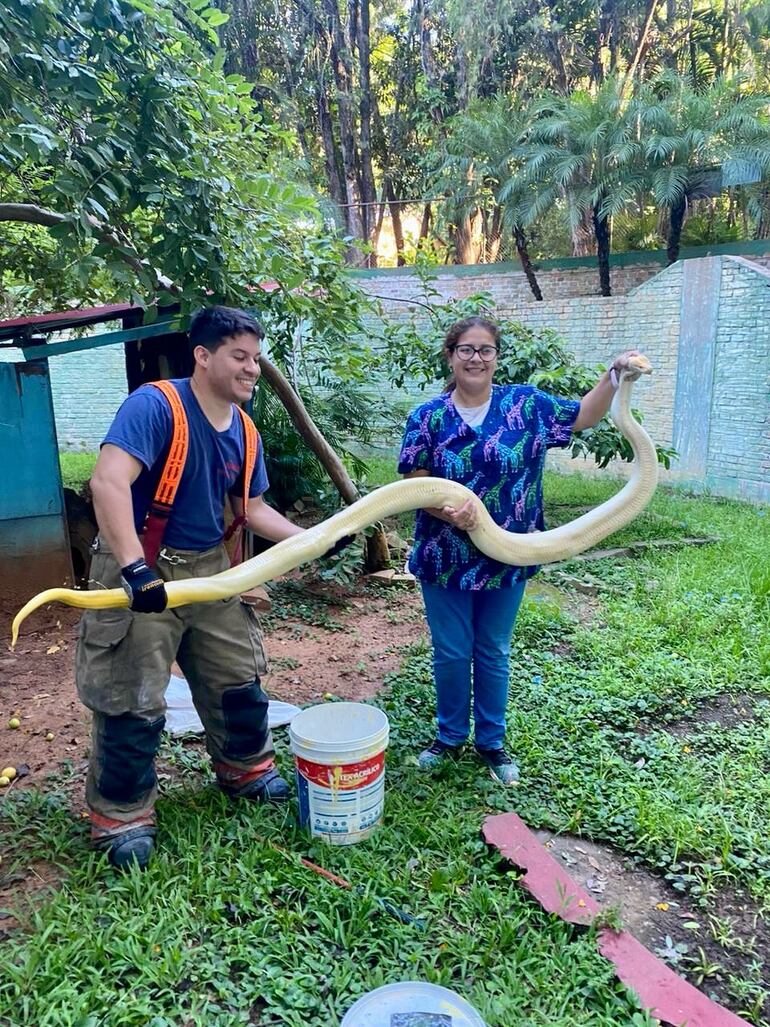 La serpiente fue trasladada al Jardín Botánico de Asunción para un mejor manejo.