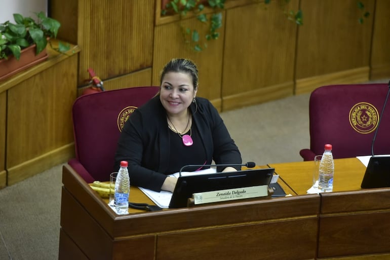 Senadora Zenaida Delgado