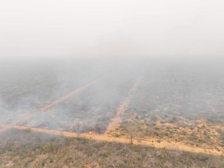 Vista aérea de la zona afectada por el fuego.