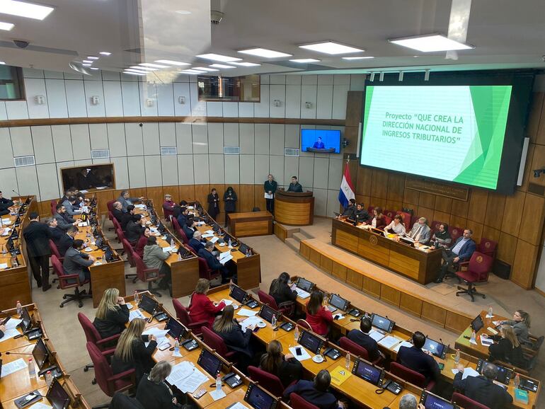 La audiencia convocada por el bloque opositor para analizar el proyecto de ley de fusión de la SET y DNA, se llevó a cabo esta mañana en la sala de sesiones de la Cámara de Senadores.