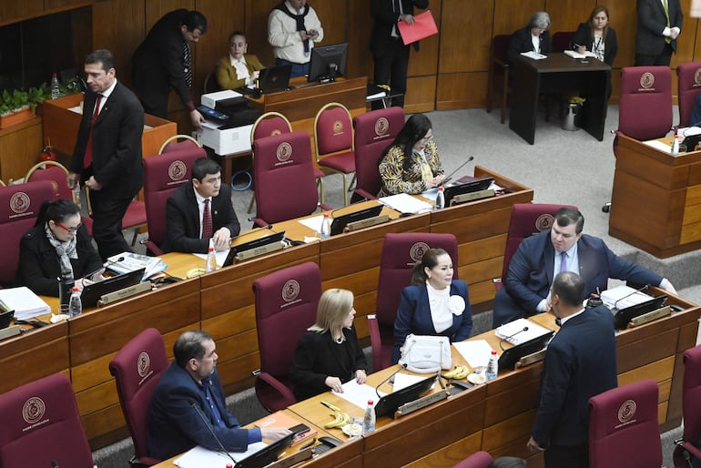 Vista en la Cámara Alta de la  bancada de senadores libero-cartistas, expulsados del PLRA.