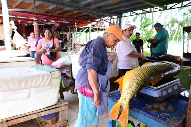 Este enorme dorado ser vendió ayer. Las vendedoras esperan hoy a los compradores antes del inicio de la veda.