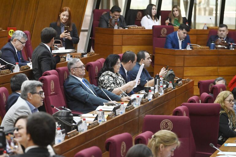 La Cámara de Diputados analizará recién en tres meses el proyecto relacionado a la Conajzar.