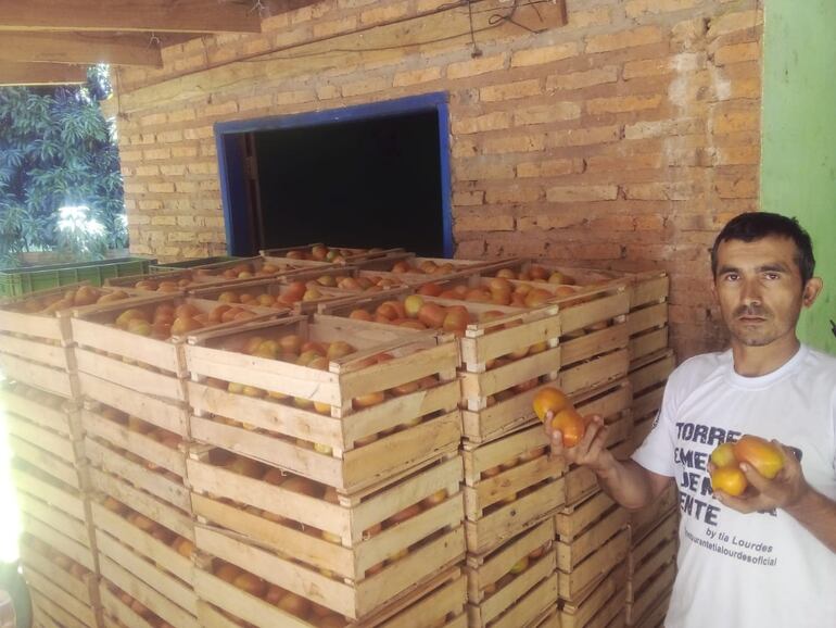 El productor, Gustavo Benítez, mostrando sus tomates sin poder comercializar.