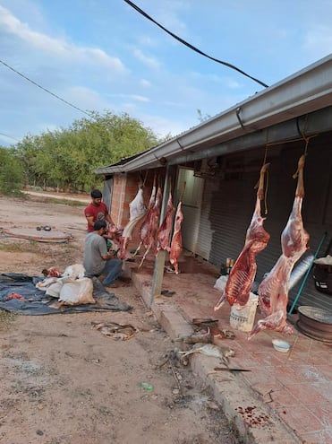 Un grupo de Policías son sospechosos de haber cazado animales silvestres, incluso uno en peligro de extinción. El hecho se dio en Teniente Irala Fernández, Boquerón.