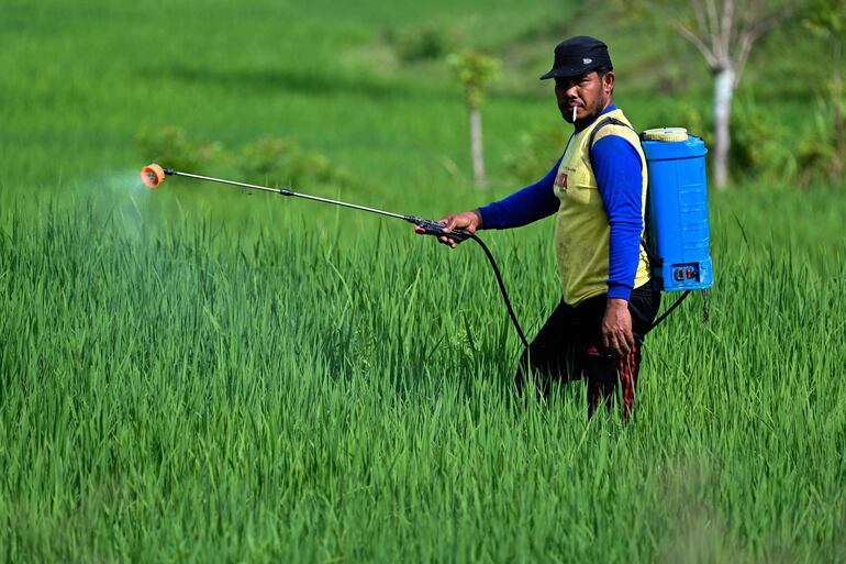 Un agricultor rocía pesticidas. La Agencia de Protección Ambiental de Estados Unidos (EPA, en inglés) suspendió este martes el uso de un pesticida vinculado a graves riesgos para la salud de los bebés de madres que estuvieron expuestas, en especial las trabajadoras agrícolas, en una medida de emergencia tomada por primera vez en 40 años.