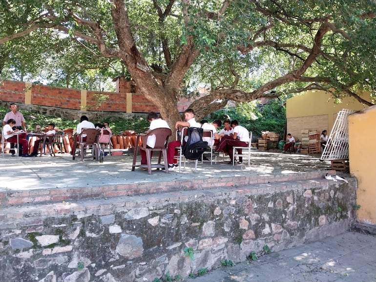 La sombra de este frondoso árbol sirve a los estudiantes para el desarrollo de clase.