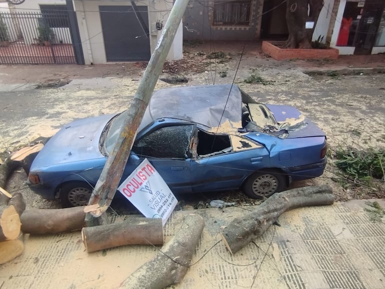 Árbol cayó en la plaza Carmen de Lara Castro del barrio San Pablo de Asunción y destrozó una casa y un auto.