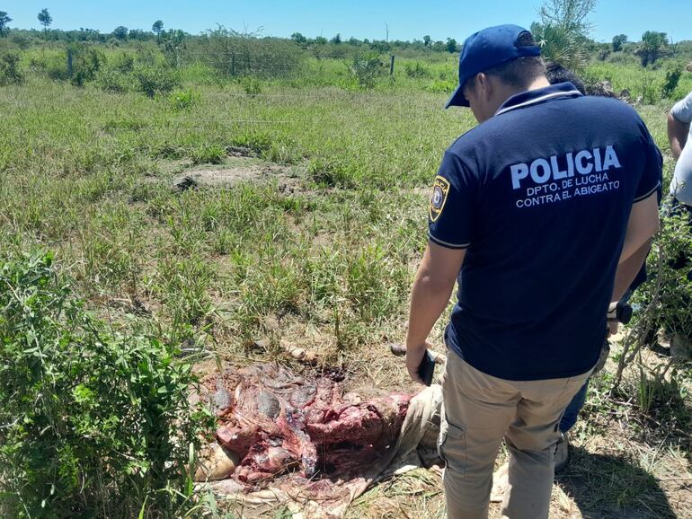 Uniformados policiales antiabigeato verificando uno de los potreros de la estancia Rancho Cardenal, donde los abigeos faenaron 5 animales vacunos.