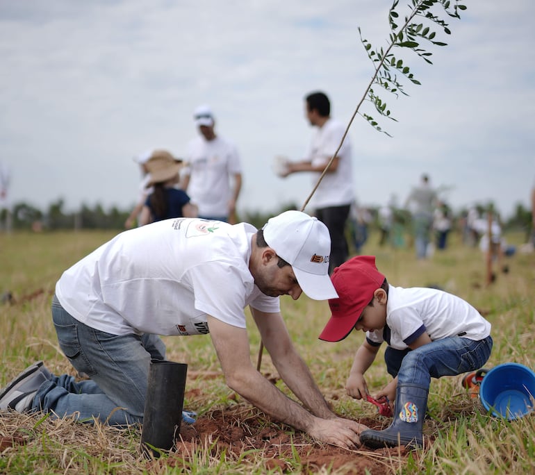 Inmobiliaria del Este trabaja por un futuro más sostenible. En ese marco, realiza la plantación de árboles nativos en sus loteamientos.