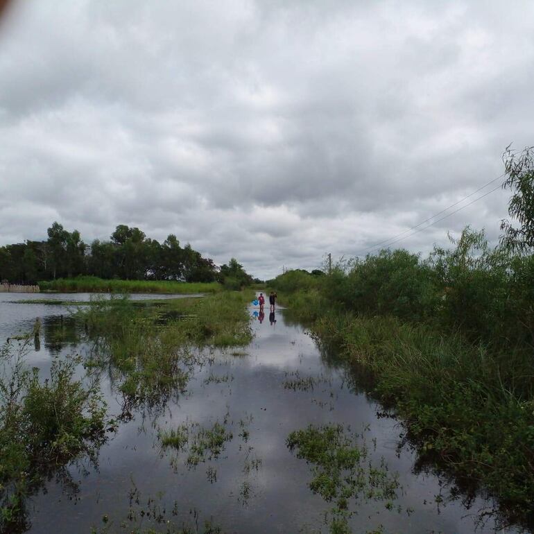 Los humedales y arroyos están desbordados luego de las copiosas lluvias en el Ñeembucú. Las aguas cubren cultivos, caminos, campos de pastoreo de animales, viviendas y otros. 